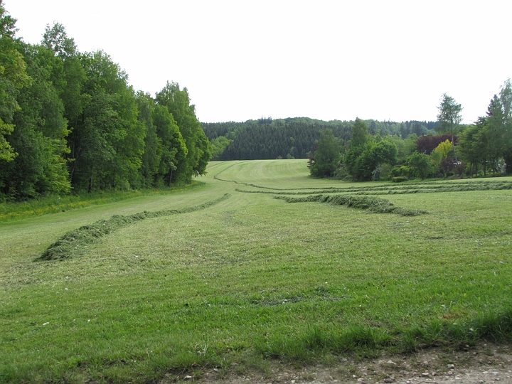 Wanderung 2014_056.jpg